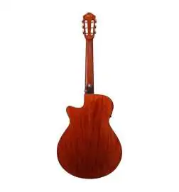 Ibanez AEG50N NT Nylon String