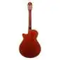 Ibanez AEG50N NT Nylon String