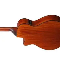 Ibanez AEG50N NT Nylon String