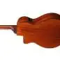 Ibanez AEG50N NT Nylon String