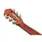 Ibanez AEG50N NT Nylon String