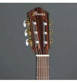 Ibanez FRH10N-RGF