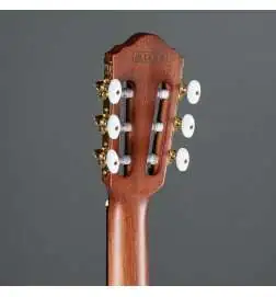 Ibanez FRH10N-RGF