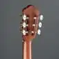 Ibanez FRH10N-RGF Ibanez FRH10N-RGF