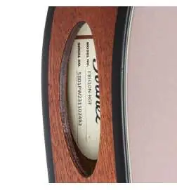 Ibanez FRH10N-RGF