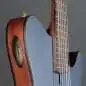 Ibanez FRH10N-IBF
