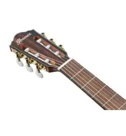 Ibanez FRH10N-NTF Natural Flat