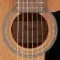 Ibanez V44MINI-OPN