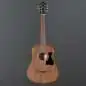 Ibanez V44MINIE-OPN