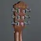 Ibanez V44MINIE-OPN