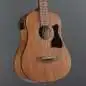 Ibanez V44MINIE-OPN