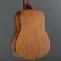 Ibanez V44MINIE-OPN