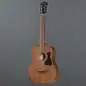 Ibanez V44MINIE-OPN