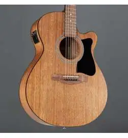 Ibanez VC44CE-OPN