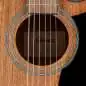 Ibanez VC44CE-OPN