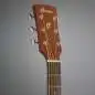 Ibanez PC12MHCE-OPN