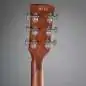 Ibanez PC12MHCE-OPN