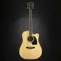 Ibanez PF15ECE-NT Natural