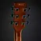 Ibanez PF15ECE-NT Natural