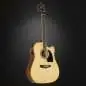 Ibanez PF15ECE-NT Natural