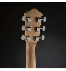 Ibanez AEG7MH OPN
