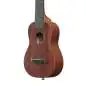 Ibanez UKS100-OPN