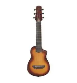 Ibanez AUP10N-OLB