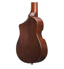 Ibanez AUP10N-OLB