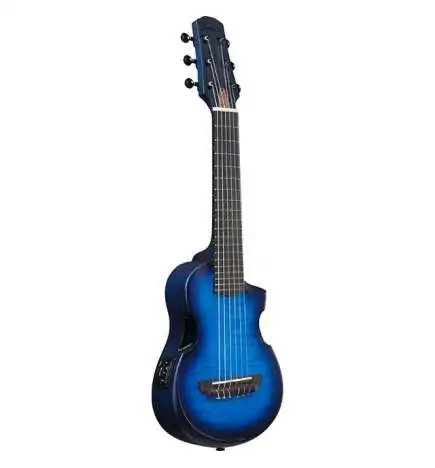 Ibanez AUP10FMNE-TBO