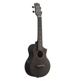 Ibanez UEW12E-BIF Black Ice Flat