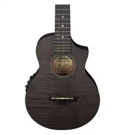 Ibanez UEW12E-BIF Black Ice Flat