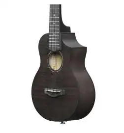 Ibanez UEW12E-BIF Black Ice Flat