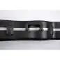 Ibanez MM100C