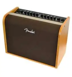 Fender Acoustic 100