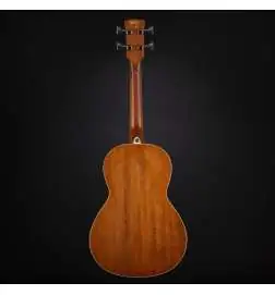 Ibanez PNB14E-OPN Open Pore Natural Gitara basowa akustyczna