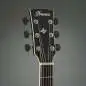 Ibanez AW84CE-WK Ibanez AW84CE-WK