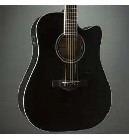 Ibanez AW84CE-WK
