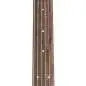 Ibanez AW417CE OPS