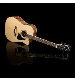 Ibanez AW417CE OPS