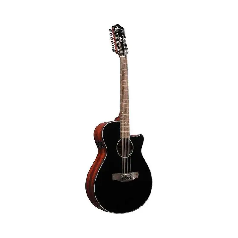 Ibanez AEG5012-BKH 12 String