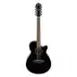 Ibanez AEG5012-BKH 12 String