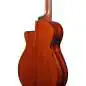 Ibanez AEG5012-BKH 12 String