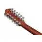 Ibanez AEG5012-BKH 12 String