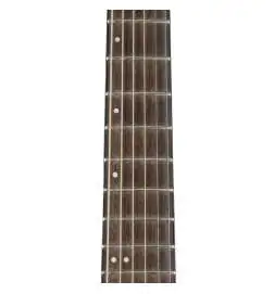 Ibanez AEWC400-TKS