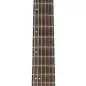 Ibanez AEWC400-TKS