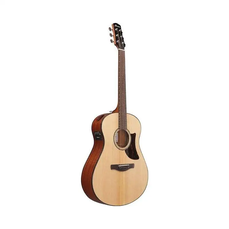 Ibanez AAM100E-NT