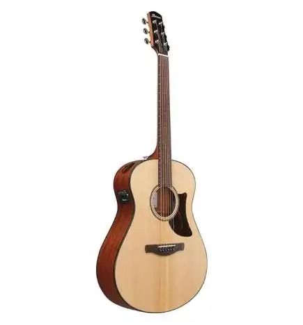 Ibanez AAM100E-NT