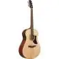 Ibanez AAM100E-NT