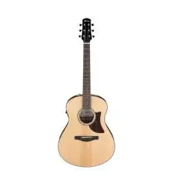 Ibanez AAM100E-NT