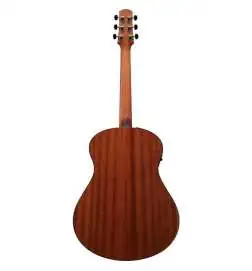 Ibanez AAM100E-NT